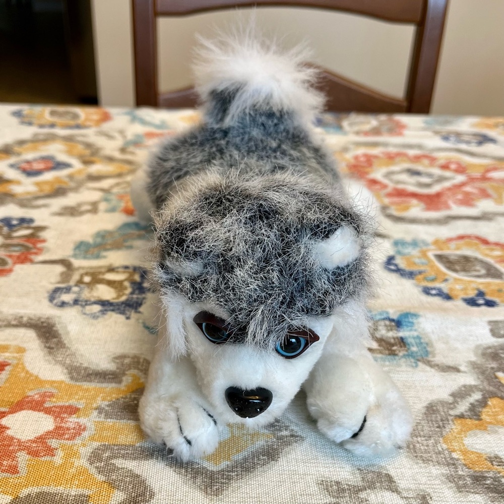 Plush Husky Dog By Toy Works